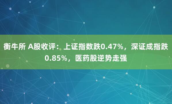 衡牛所 A股收评：上证指数跌0.47%，深证成指跌0.85%，医药股逆势走强