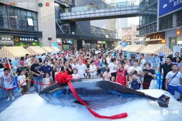 集采优配 超大金枪鱼! 黄贝街道举办深港开海季“鱼”你同乐