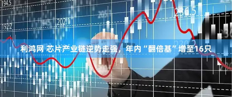 利鸿网 芯片产业链逆势走强，年内“翻倍基”增至16只